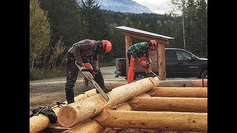 Full Scribe Log Building Course with the BC log school. #logbuilding #logcabin #buildacabin #loghome