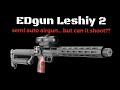 EDgun Leshiy 2 - Long Range Accuracy (can it shoot??)