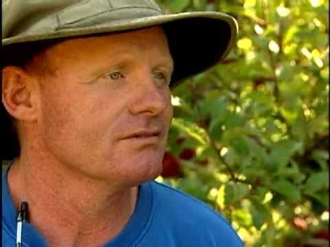 Dale & Geraldine Grow Apples in Henderson County