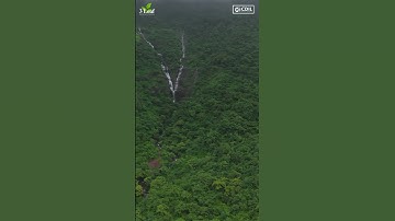 🌳 Where Each Plot Comes with a View… and a Vision.#EcoLivingWithReturns #3LeafNatureEstate