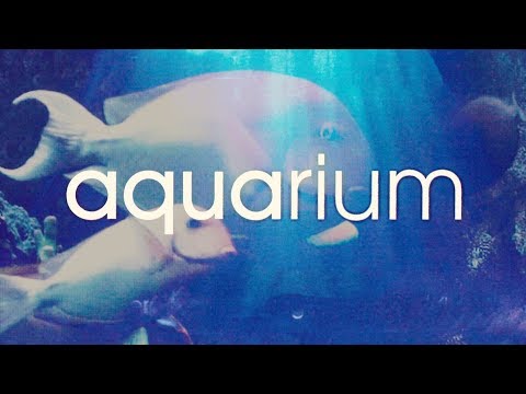 AQUARIUM