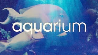 AQUARIUM