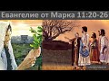 ЕВАНГЕЛИЕ от МАРКА. 11:20-26. Новый Завет. Библия. Читает #ВЕГАН 💚 #ХРИСТОЛЮБ ✝️