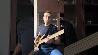 ДДТ - Дождь безладовый бас #fretlessbass #ддт #басгитара