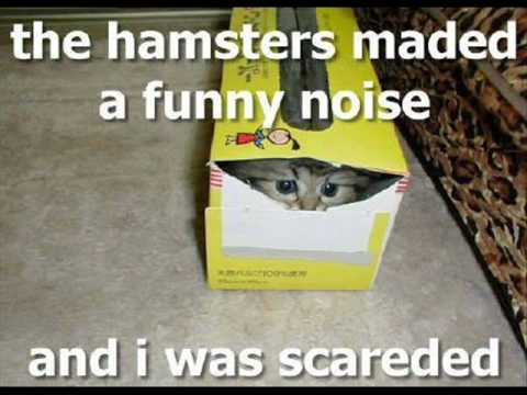 funny-guinea-pigs-and-hamster