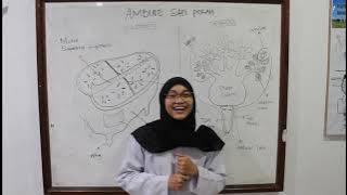 MATERI 1 : PENGENALAN ANATOMI AMBING