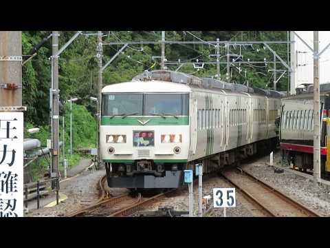 185系特急踊り子 伊豆高原駅到着 Izukyū Limited Express "Odoriko"