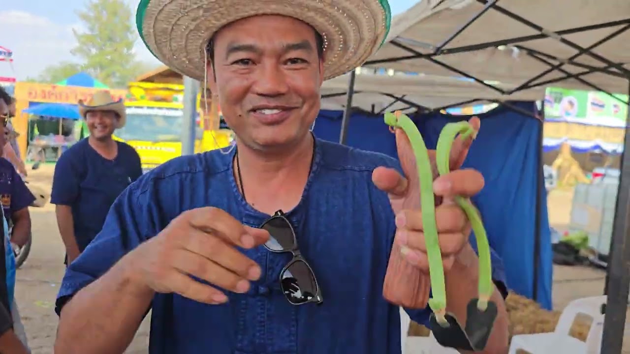 แข่งยิงหนังสติ๊ก ชุดที่1 (ประมาณ12คู่) #งานข้าวอำเภอโนนสูง   อ.โนนสูง โคราช 8มีค2569