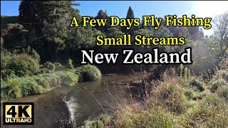 A few Days Fly Fishing Small Streams  New Zealand