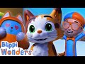 Blippi Plays with a Kitten! | Blippi Wonders | Learn ABC 123 | Fun Cartoons | Moonbug Kids