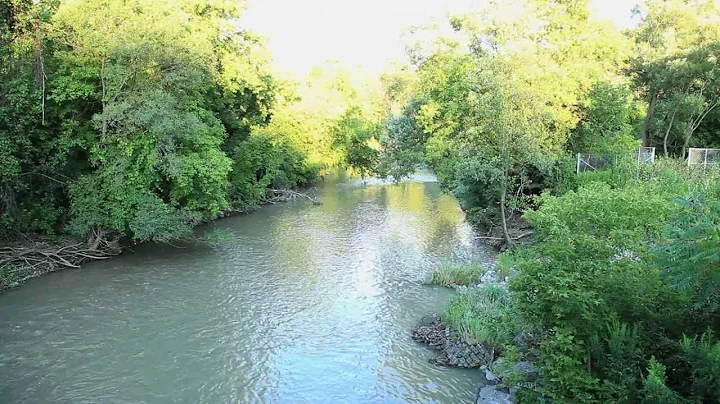 Milne Hollow