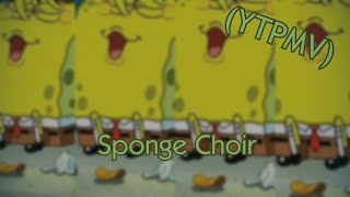 (YTPMV) Sponge Choir