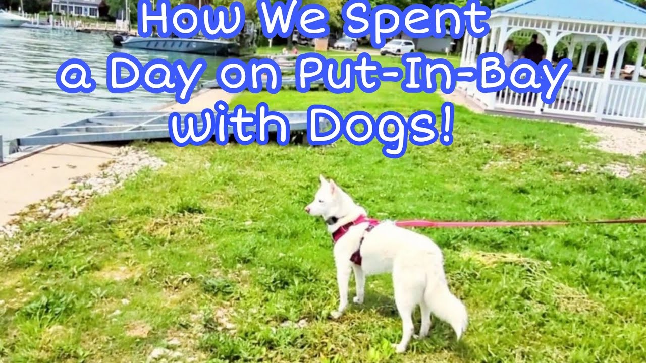 How We Spent a Day at Put-In-Bay with Dogs!