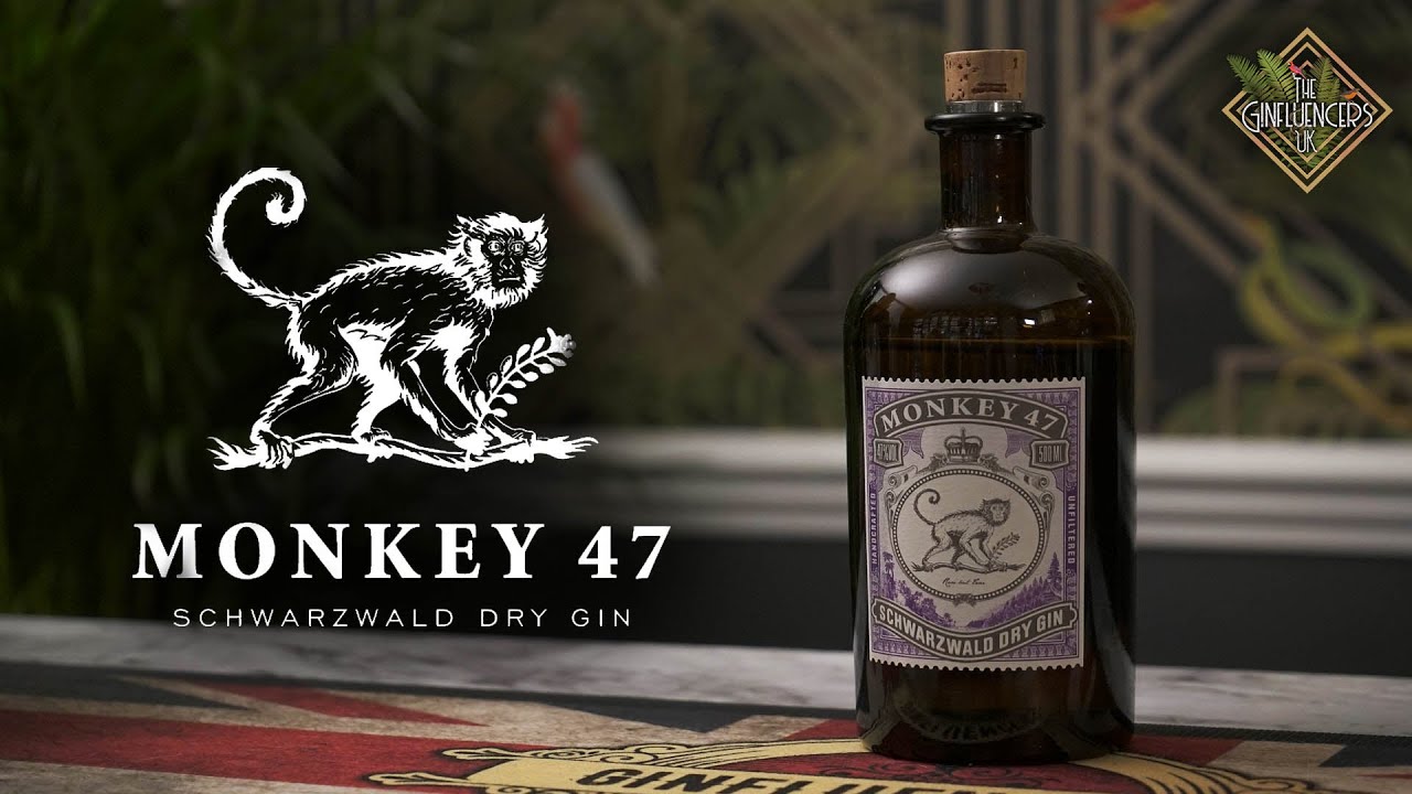 Monkey 47 Gin Review  The Ginfluencers UK 