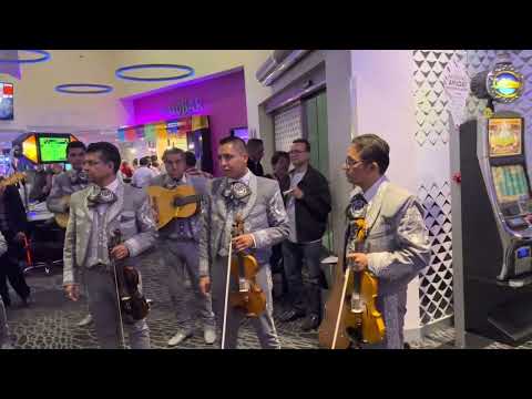 Oscar Rodríguez Borgio: Big Bola Casino Veracruz