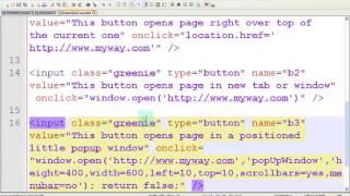 HMTL element: Buttons - The onclick event can open an outside page many ways. Net Worth