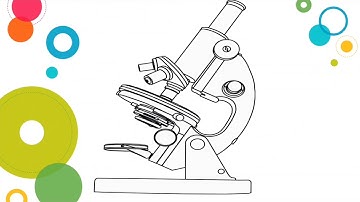 SCIENCE 7|Quarter 2| Module 1: Part 3 Parts of Compound Microscope (TagLish)