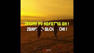 Lion Hill - ❤️🥺 " extrait lyrics 