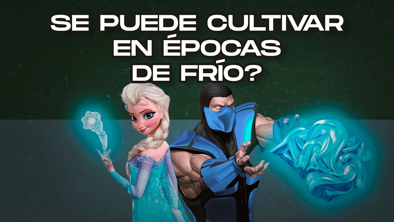 ¿Cultivar en invierno? Técnicas y mitos del frío