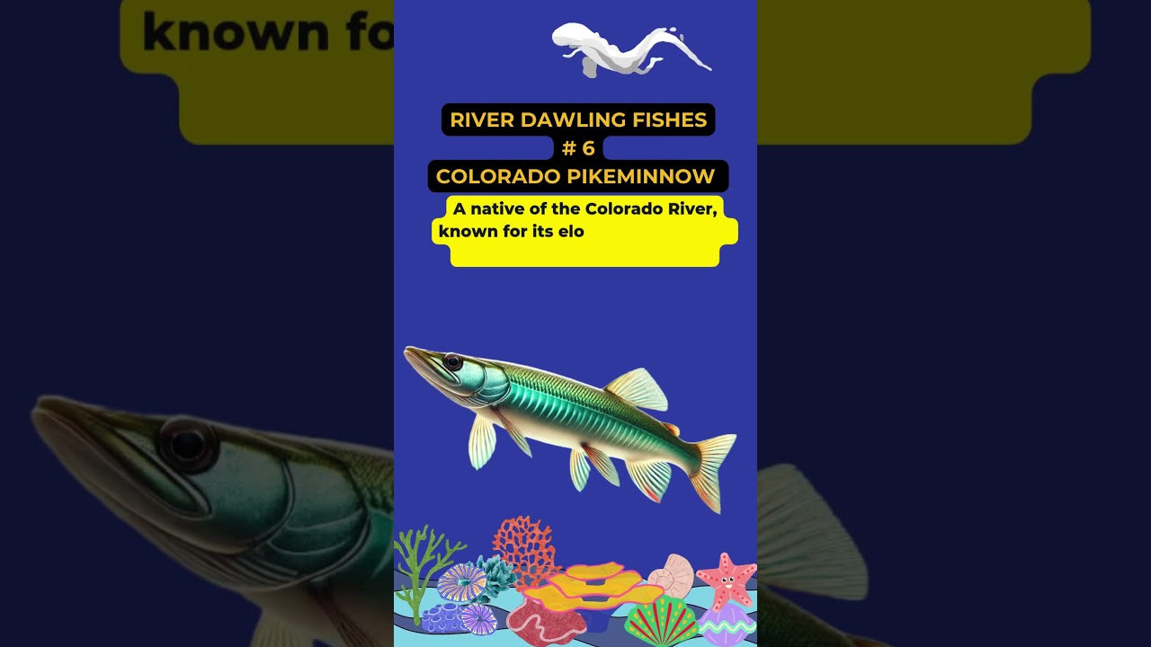 #PikeminnowPreservation