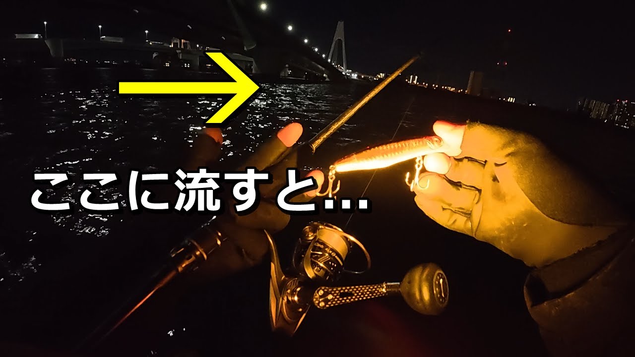 明暗×シャローで餌を待つシーバスにカゲロウを流し込む - YouTube