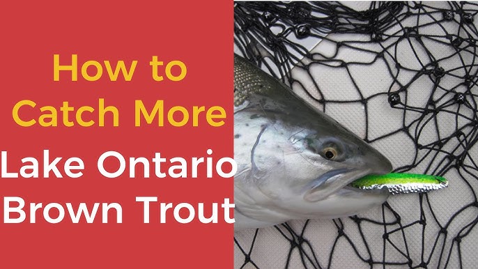 How to choose the best lure colours for Lake Ontario salmon fishing