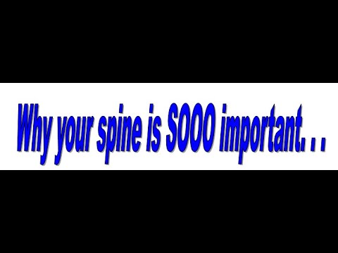 Why the spine
