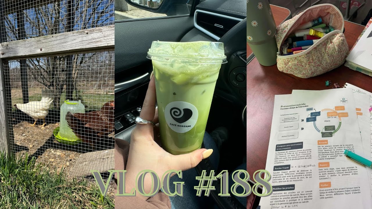 VLOG #188 - Journée de grosse formation & produits terminés