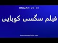 How To Pronounce فیلم سگسی کوبایی 