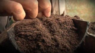 Sowing Vegetable Seeds by seedtoplate 24,248 views 15 years ago 2 minutes, 41 seconds