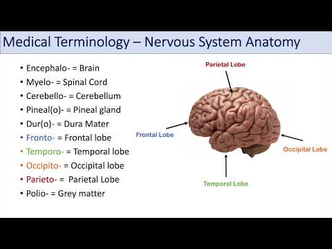 Video: Hereditary Neural Amyotrophy - Dictionary Of Medical Terms