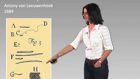 Microbes are abundant - Dianne Newman (Cal Tech/HHMI)