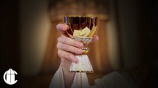 La Santa Misa | Tercer Domingo de Pascua by The CatholicTV Network 857 views 3 weeks ago 27 minutes