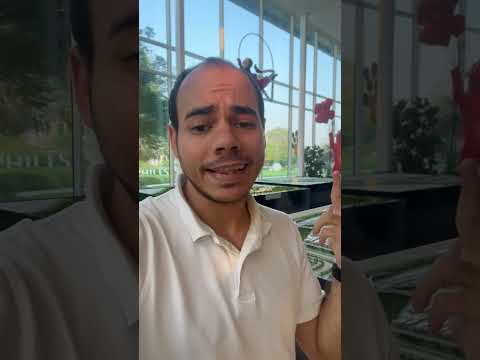 أخر الطروحات من أكبر مطورين دبي اعمار داماك ميراس شوبا
