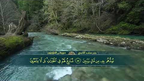 تلاوة هادئة للقارئ رعد الكردي سورة المؤمنون