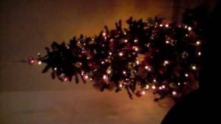 V101208_01.24.AVI