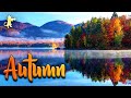 Autumn! 🍁🍂 AMAZING Nature Scenery &amp; Relaxing Music for Stress Relief.
