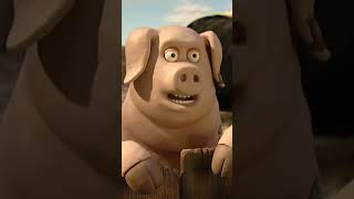 Do You Believe His Advice On The Sea? Creature Comforts