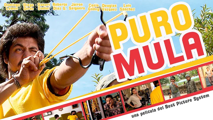 PURO MULA - pelcula