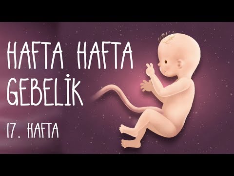 Hafta Hafta Gebelik 17. hafta