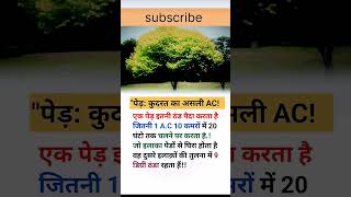 पेड़ कुदरत का असली AC #shorts#god#viralreels#motivation#viralvideo#shortvideo#gk#viral#upsc#news#gk