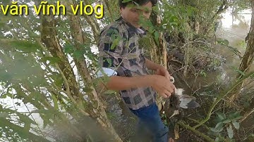 Ná Cao Su Tập 16 _ Trải Nghiệm Săn Chuột Mùa Nước Nỗi Long An Phần 2