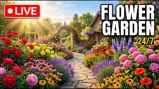 🔴 24/7 Beautiful Flower Garden Walk | Relaxing Nature Music for Deep Sleep, Study & Stress Relief