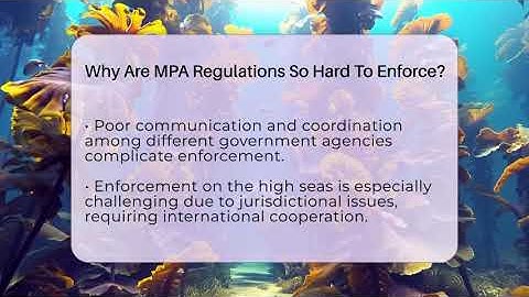 Why Are MPA Regulations So Hard To Enforce? - The Marine Life Explorer