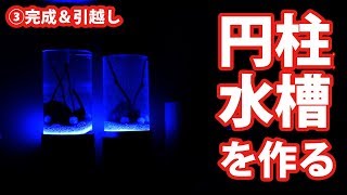 憧れの円柱水槽でホロホロシュリンプを飼育したい③完成