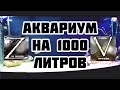 Аквариум на 1000 литров, новая рыба, проблема со скатам !!