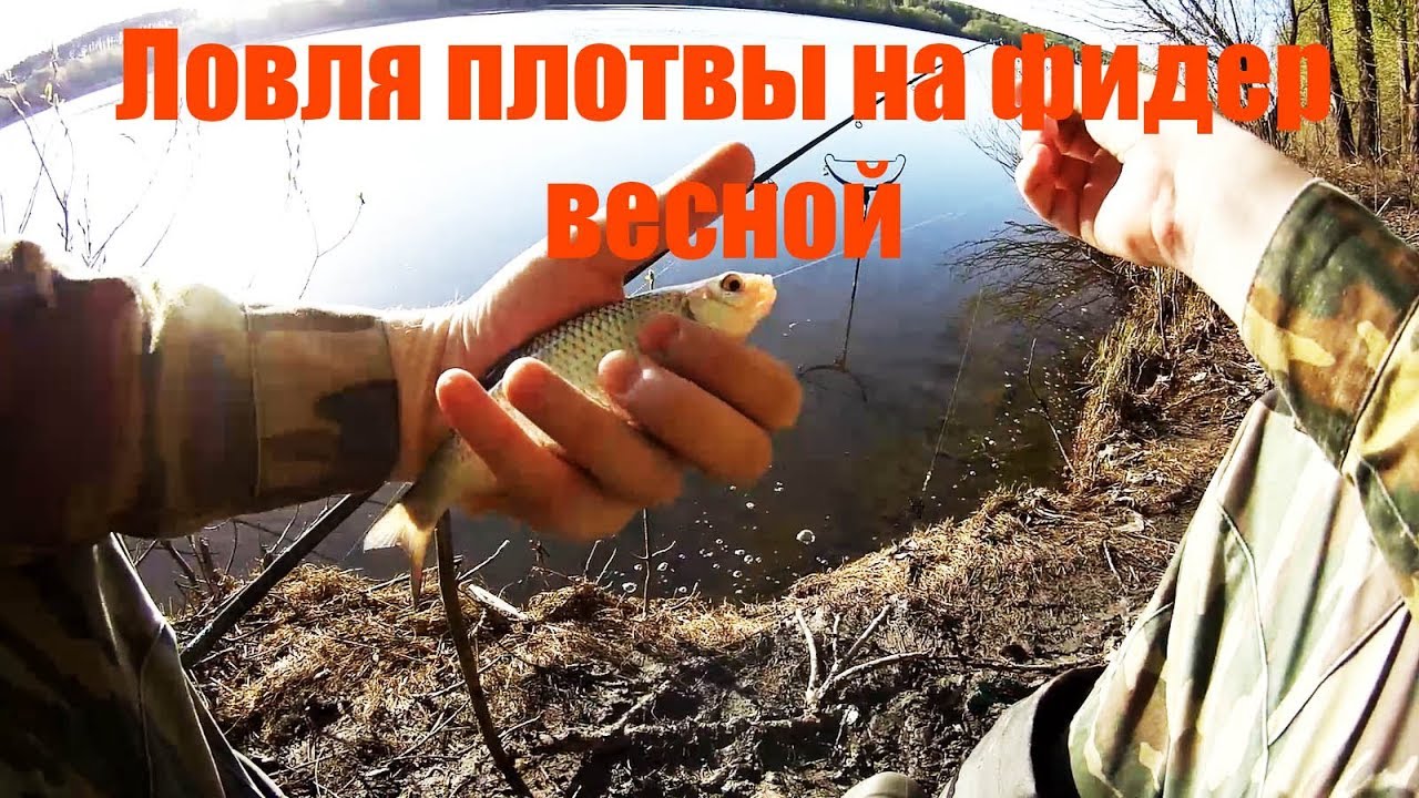 Тк ока коломна