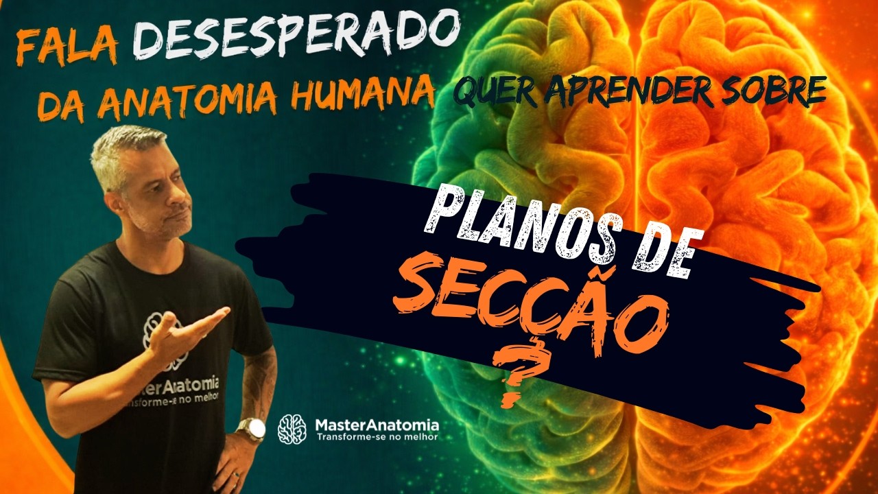 Aula 7   Planos de secção