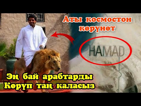 Video: Дүйнөдөгү эң бай адамдар - жаңы рейтинг