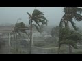 Thrashing palm trees strong winds and torrential rain  typhoon dolphin 4k stock footage screener